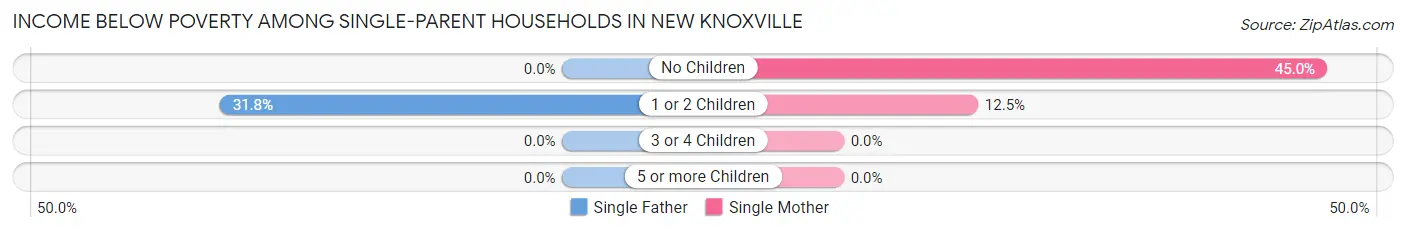 Income Below Poverty Among Single-Parent Households in New Knoxville