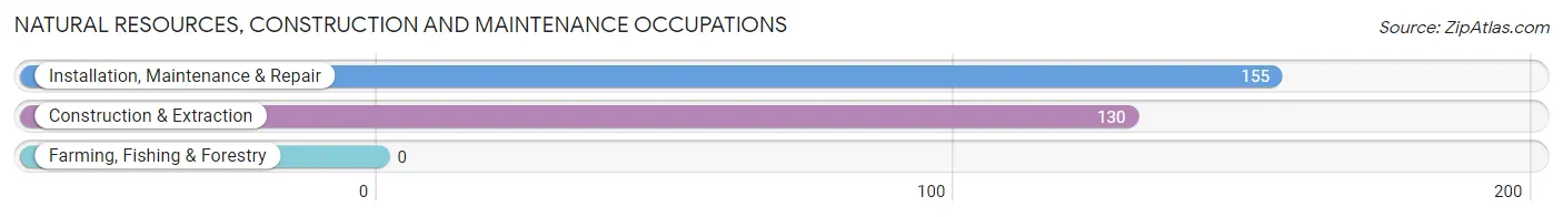 Natural Resources, Construction and Maintenance Occupations in New Lebanon