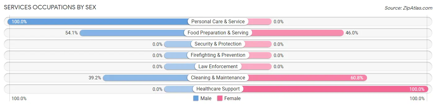 Services Occupations by Sex in New Lebanon