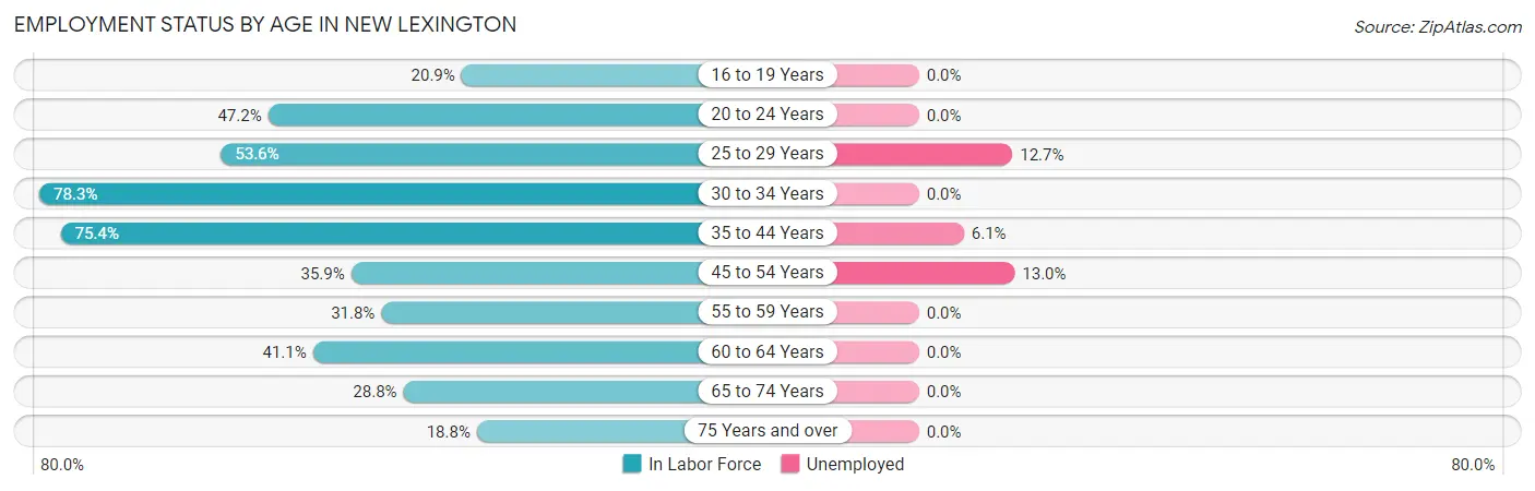 Employment Status by Age in New Lexington