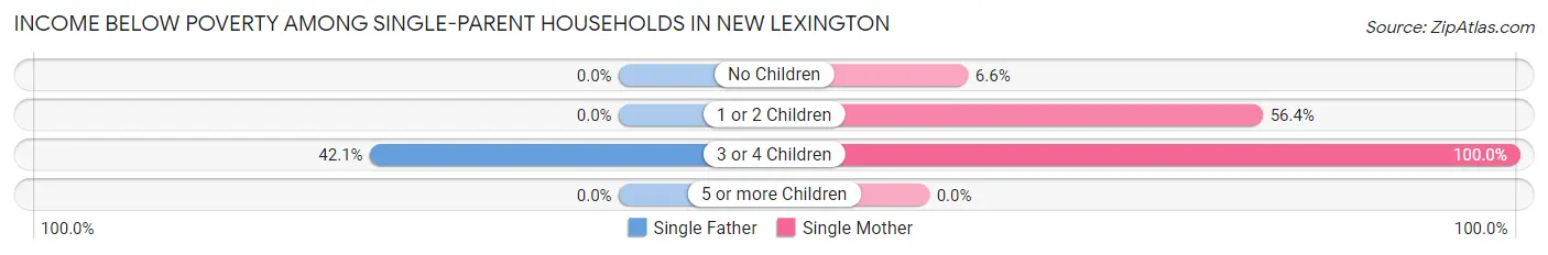 Income Below Poverty Among Single-Parent Households in New Lexington