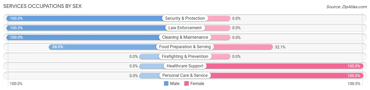 Services Occupations by Sex in New Middletown