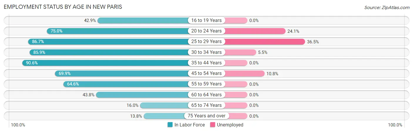 Employment Status by Age in New Paris