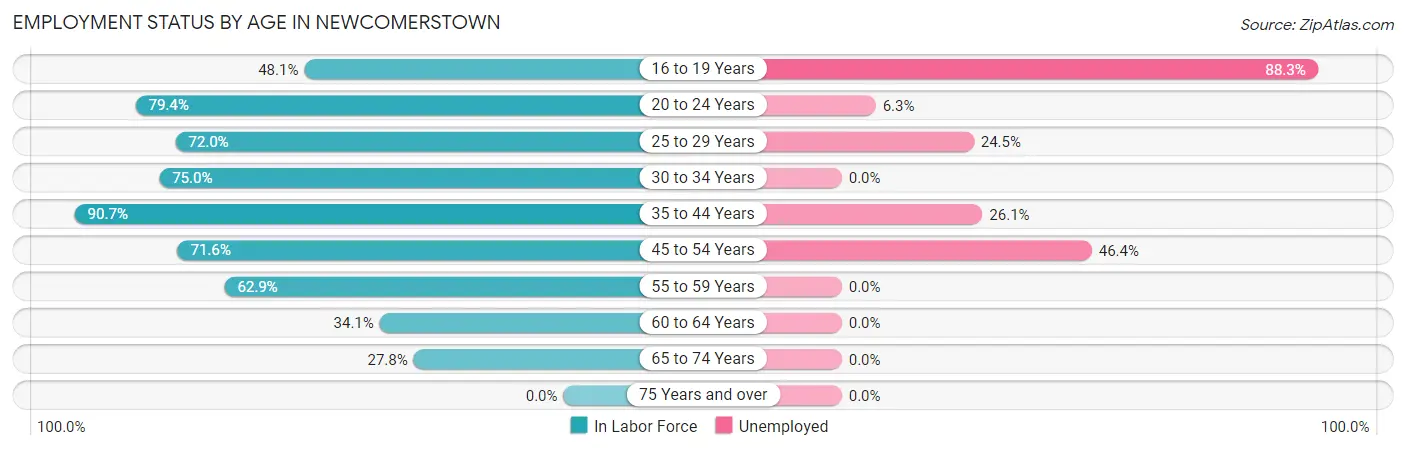 Employment Status by Age in Newcomerstown