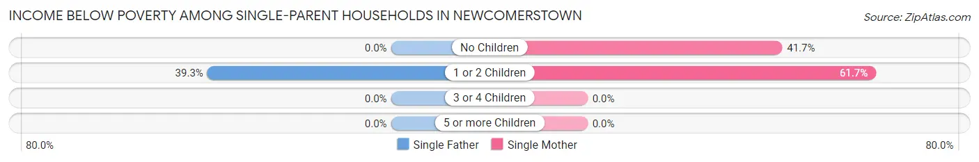 Income Below Poverty Among Single-Parent Households in Newcomerstown