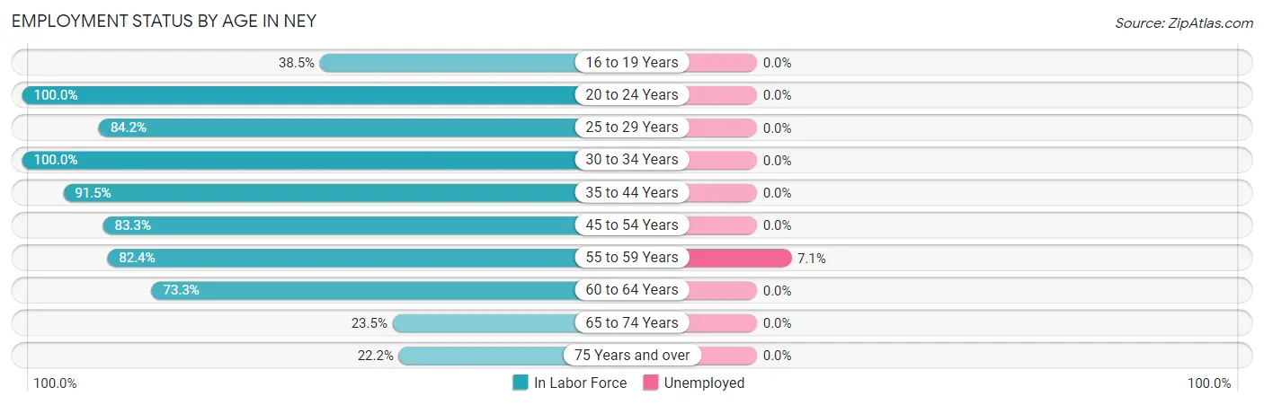 Employment Status by Age in Ney