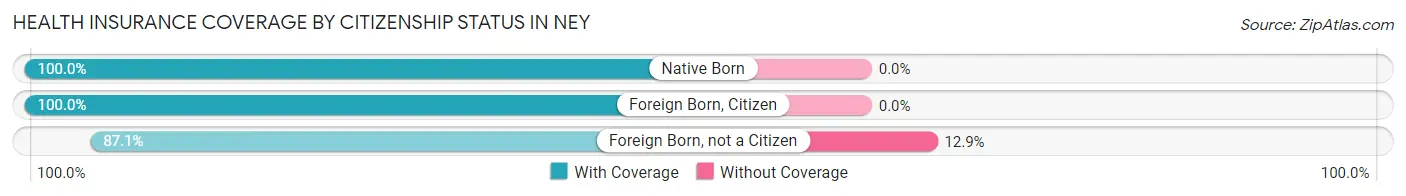 Health Insurance Coverage by Citizenship Status in Ney