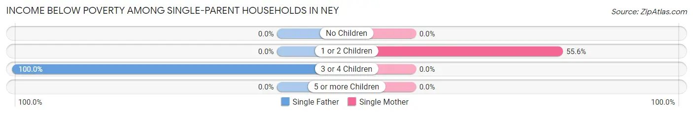 Income Below Poverty Among Single-Parent Households in Ney