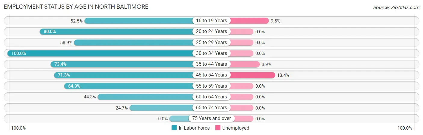 Employment Status by Age in North Baltimore