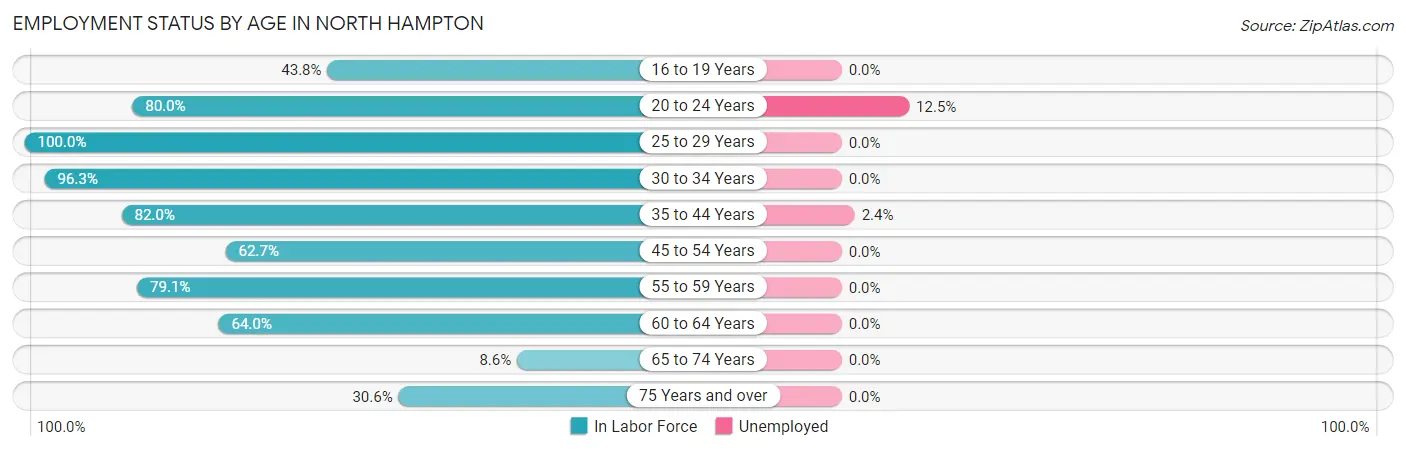Employment Status by Age in North Hampton