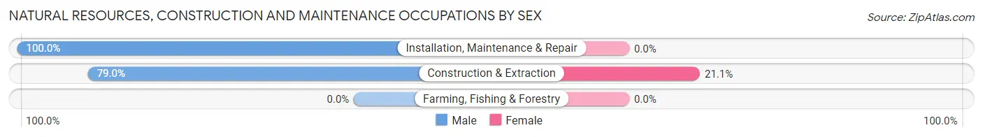 Natural Resources, Construction and Maintenance Occupations by Sex in North Kingsville