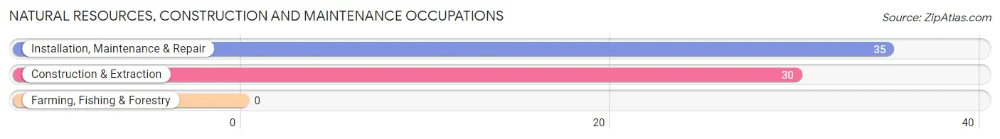 Natural Resources, Construction and Maintenance Occupations in North Lewisburg