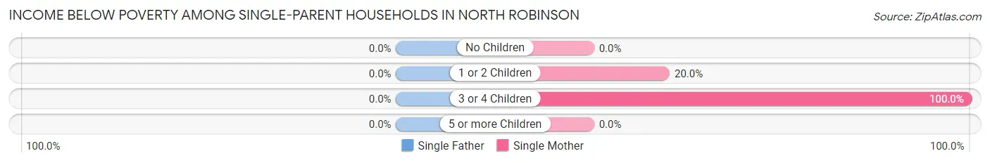 Income Below Poverty Among Single-Parent Households in North Robinson