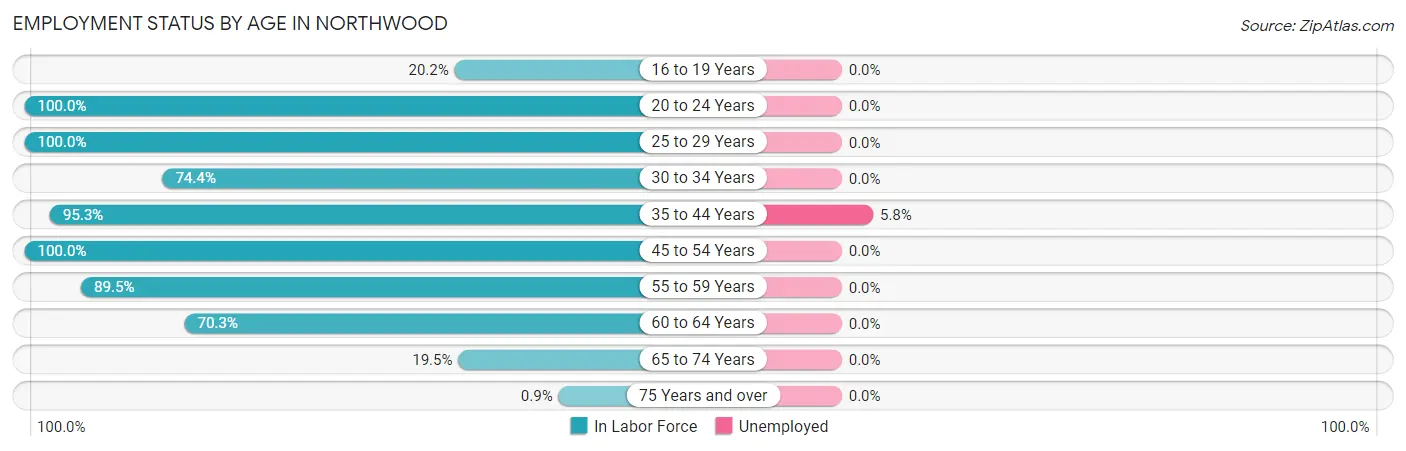 Employment Status by Age in Northwood