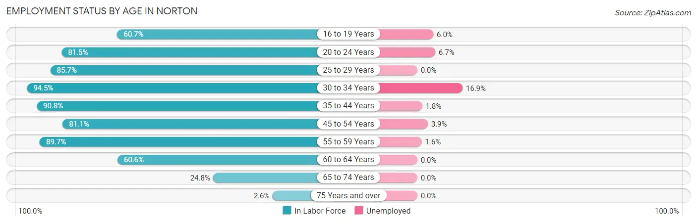 Employment Status by Age in Norton