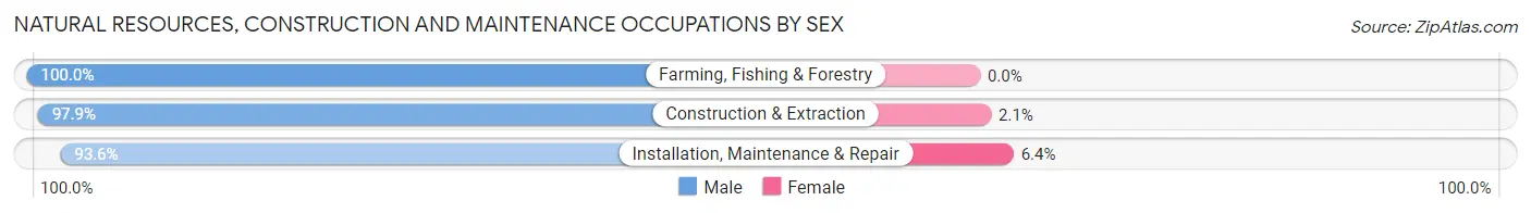Natural Resources, Construction and Maintenance Occupations by Sex in Norton
