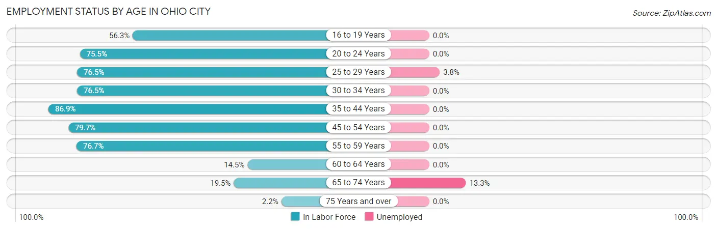 Employment Status by Age in Ohio City