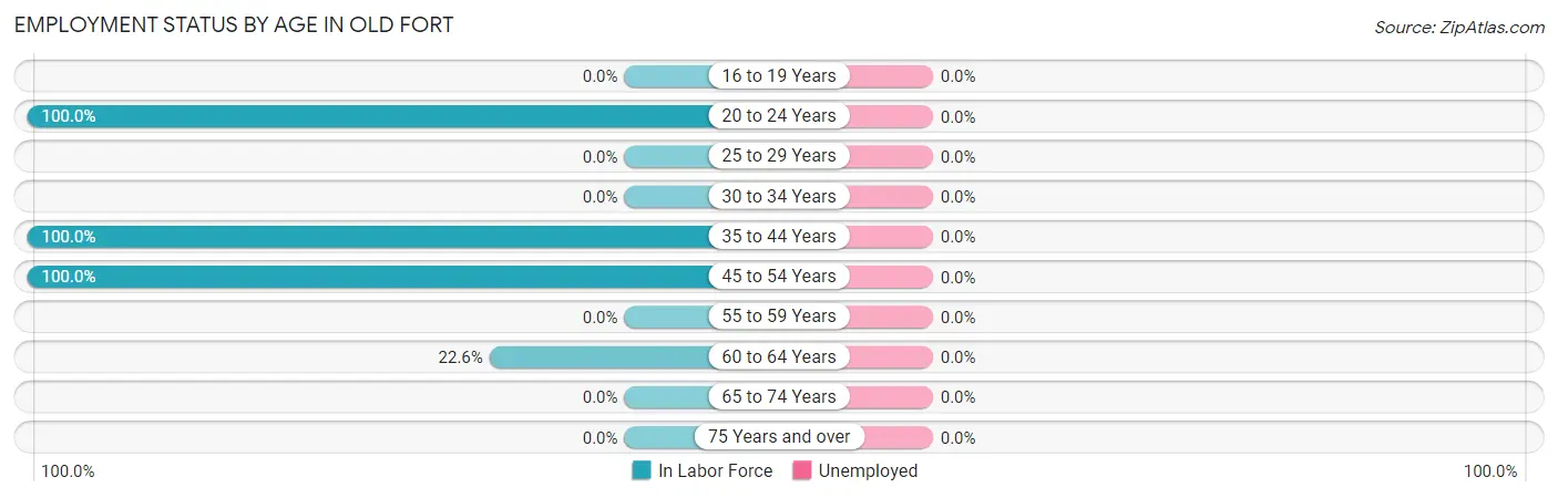 Employment Status by Age in Old Fort
