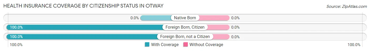 Health Insurance Coverage by Citizenship Status in Otway