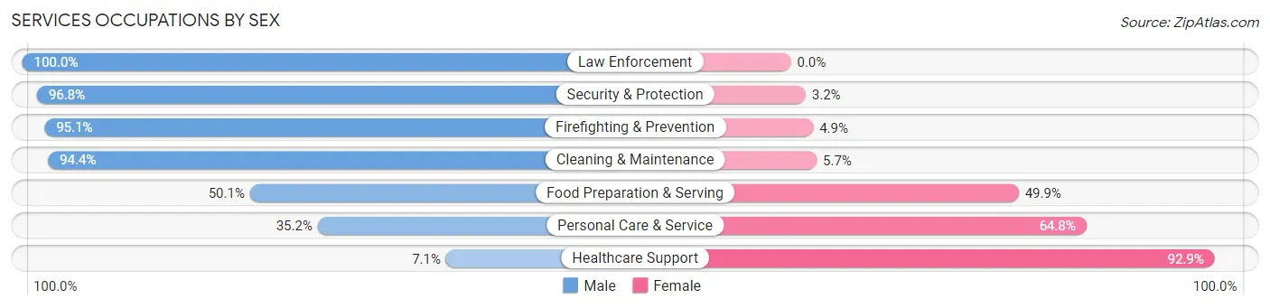 Services Occupations by Sex in Painesville