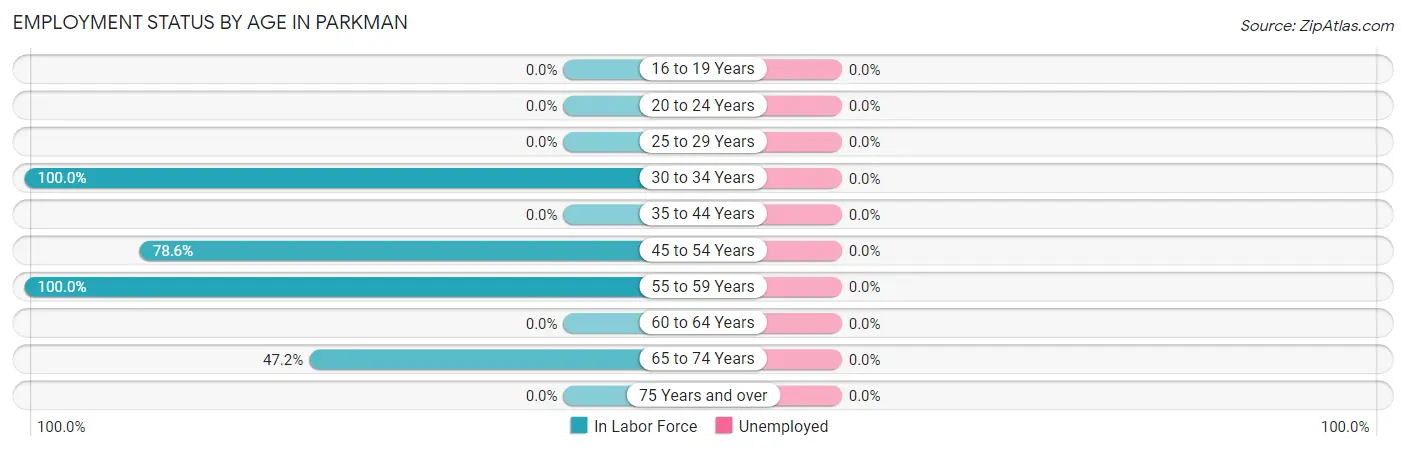 Employment Status by Age in Parkman