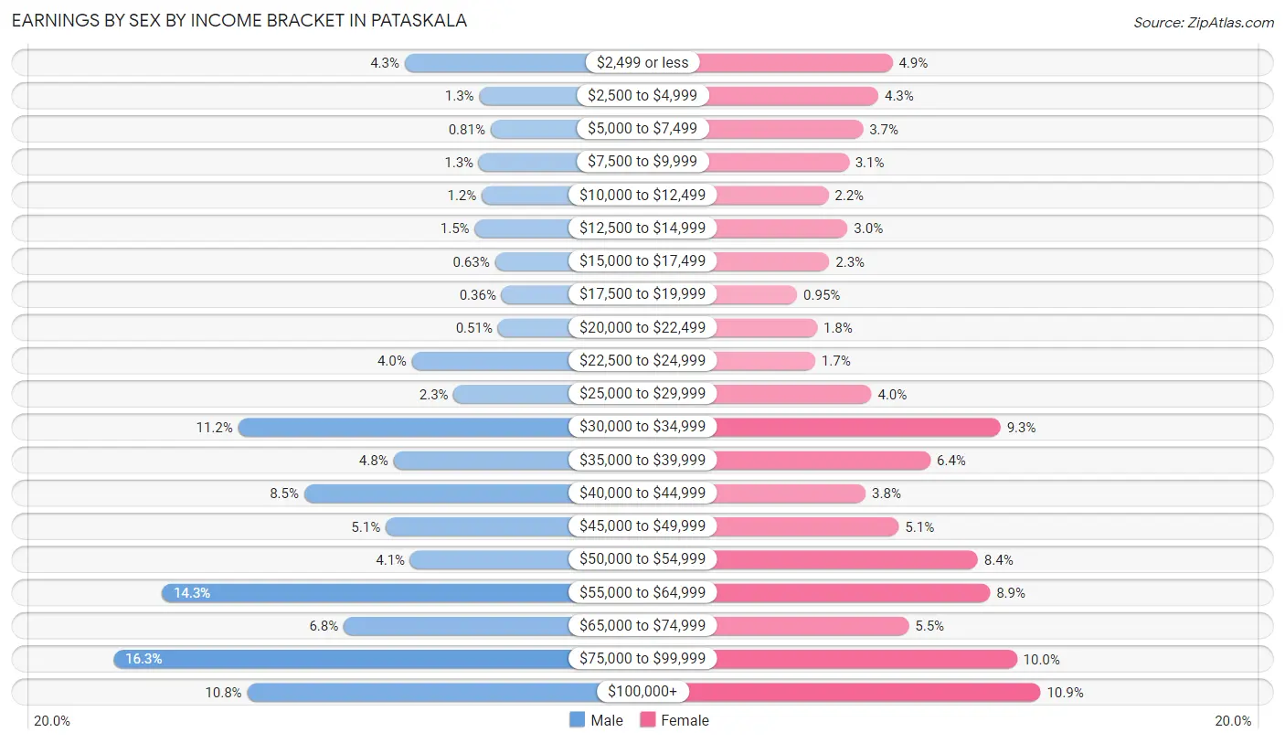 Earnings by Sex by Income Bracket in Pataskala