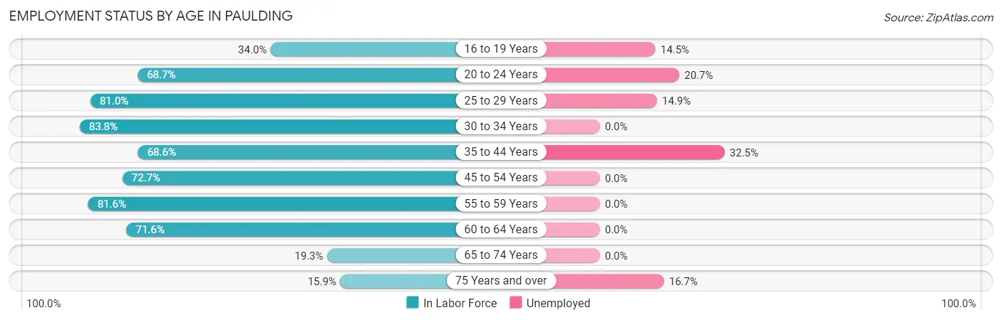 Employment Status by Age in Paulding