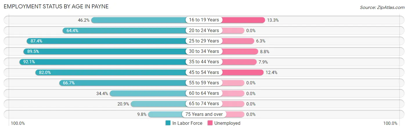 Employment Status by Age in Payne