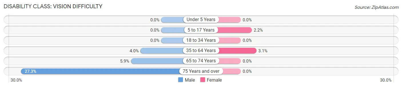 Disability in Payne: <span>Vision Difficulty</span>