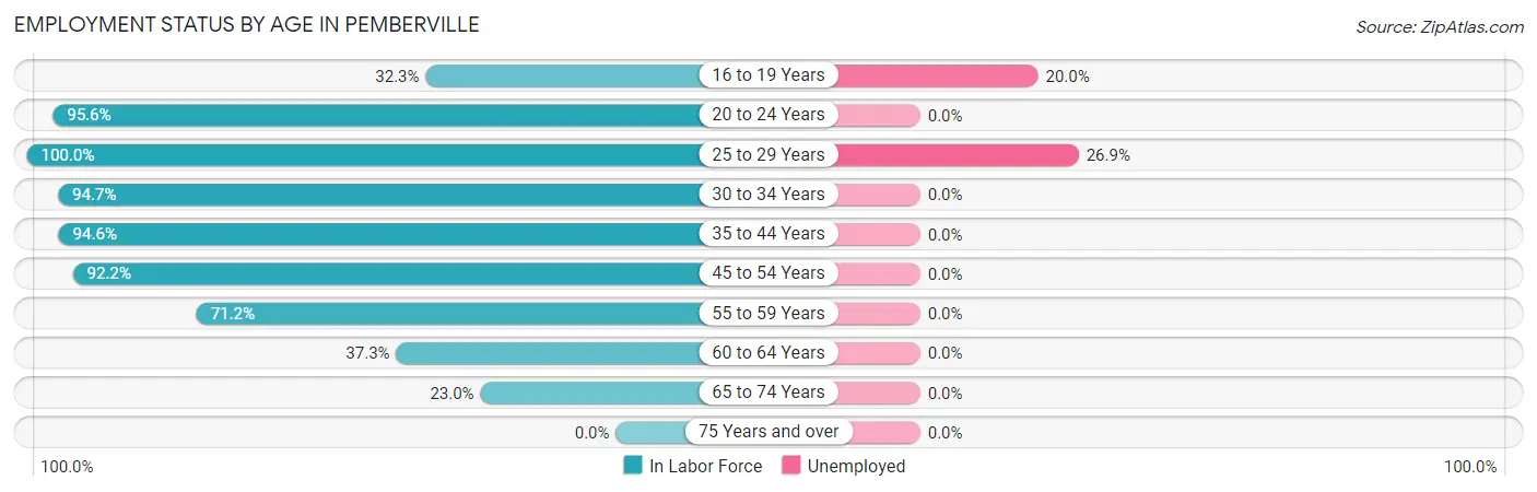 Employment Status by Age in Pemberville