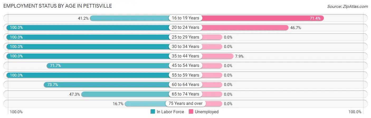 Employment Status by Age in Pettisville