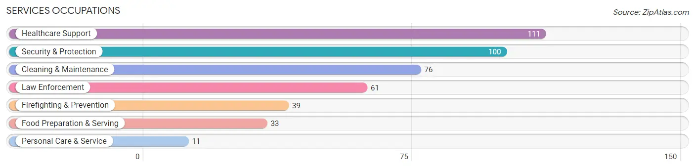 Services Occupations in Plain City