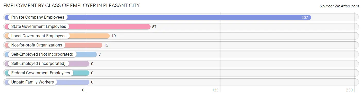 Employment by Class of Employer in Pleasant City