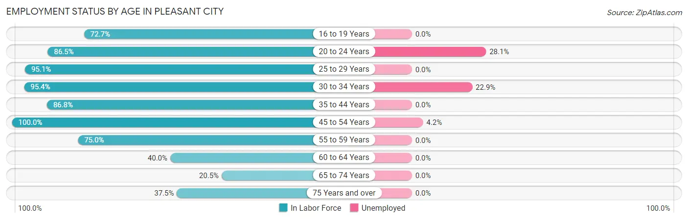 Employment Status by Age in Pleasant City