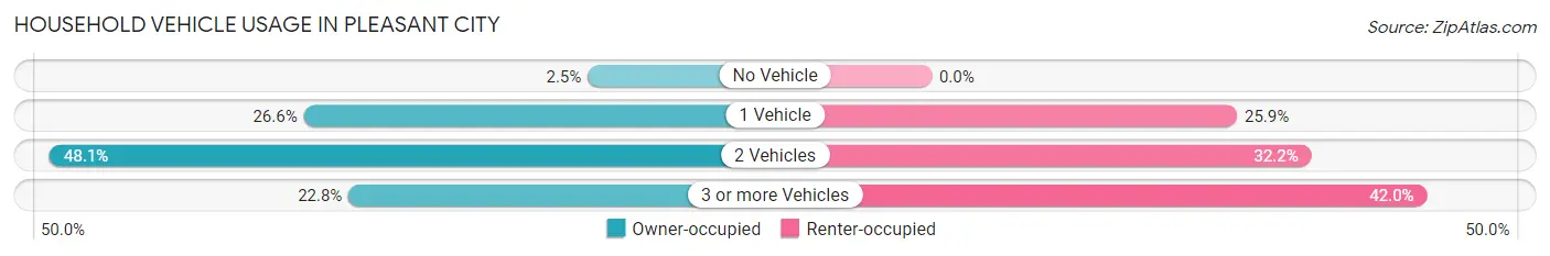 Household Vehicle Usage in Pleasant City