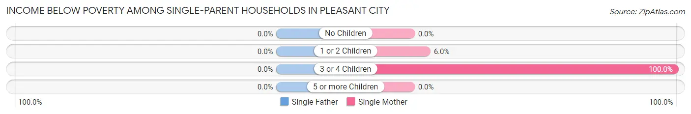 Income Below Poverty Among Single-Parent Households in Pleasant City