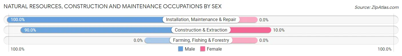 Natural Resources, Construction and Maintenance Occupations by Sex in Pleasant City