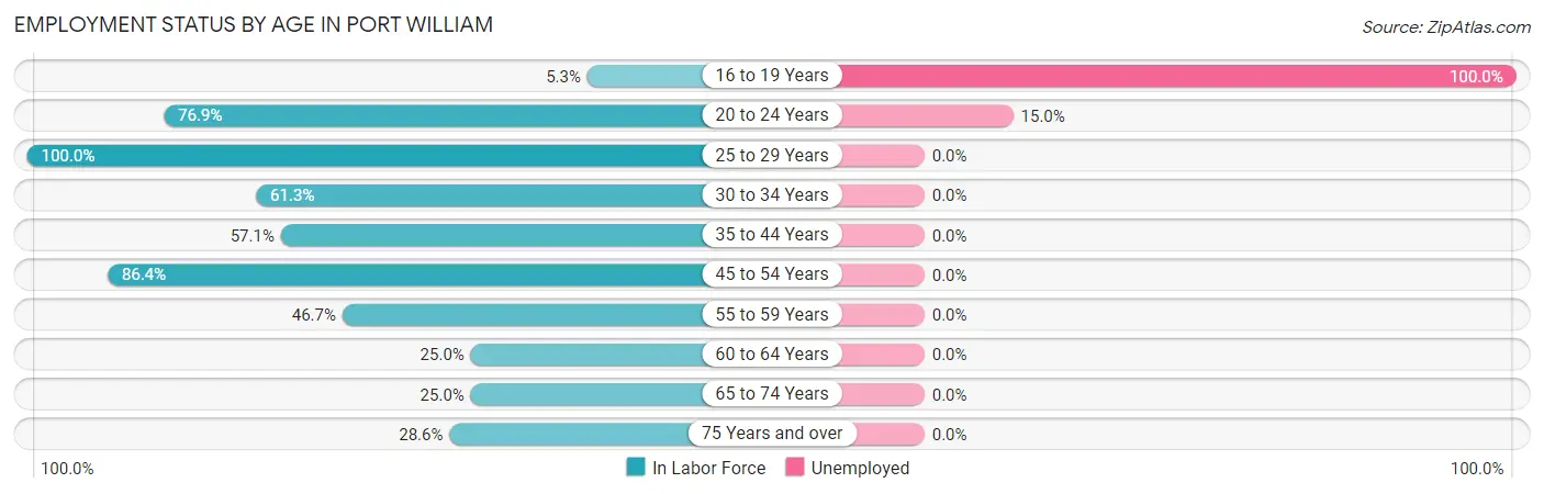 Employment Status by Age in Port William