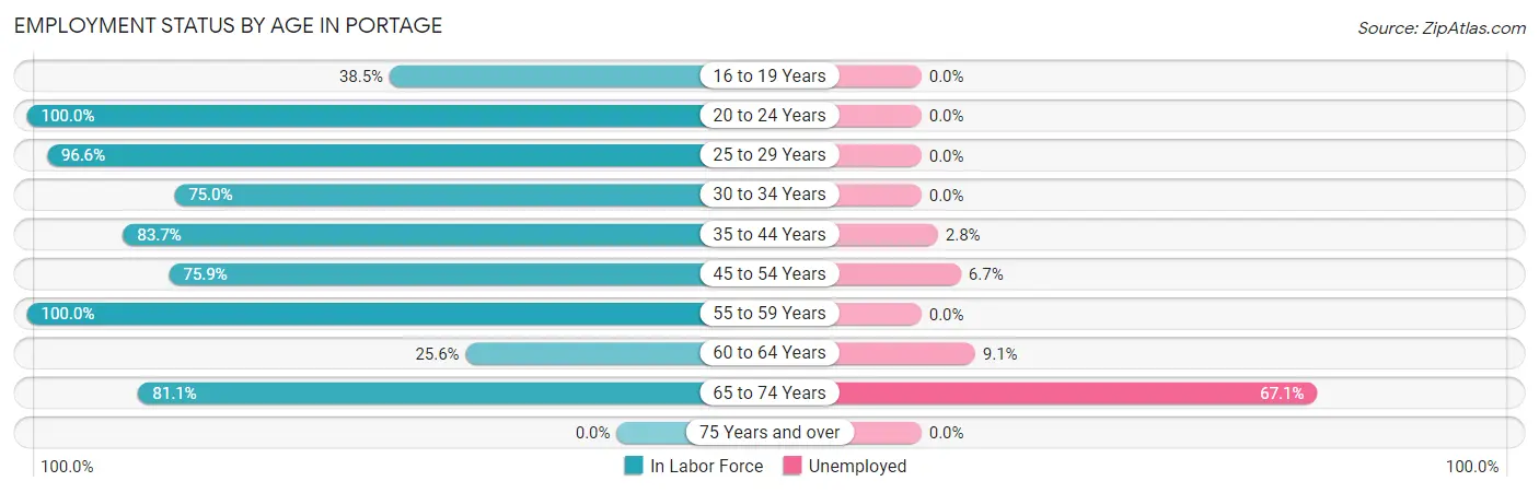 Employment Status by Age in Portage