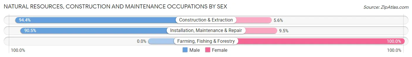Natural Resources, Construction and Maintenance Occupations by Sex in Portsmouth