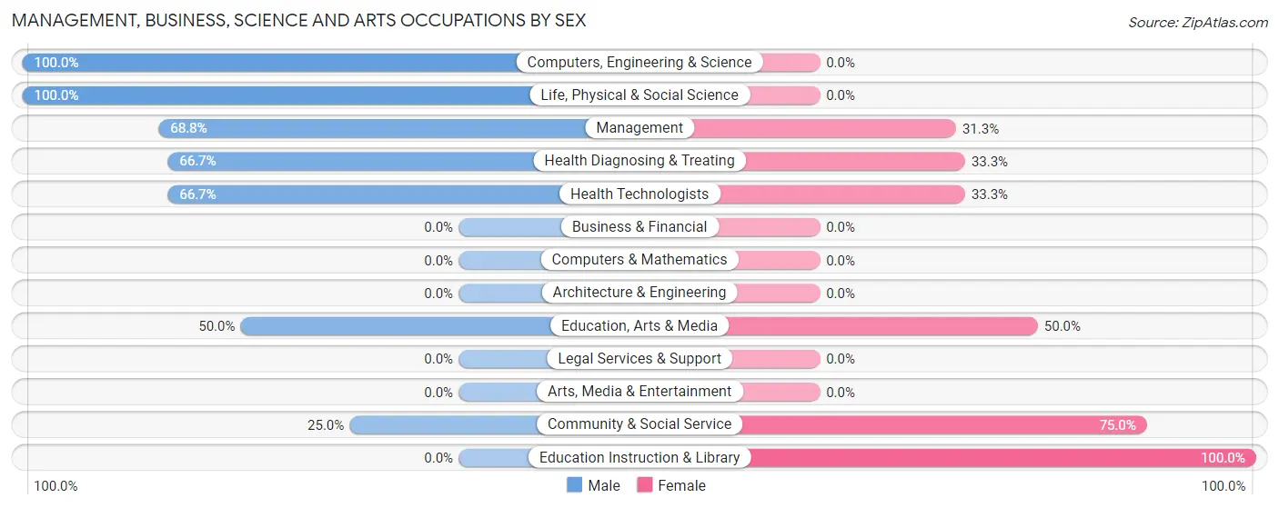 Management, Business, Science and Arts Occupations by Sex in Rawson