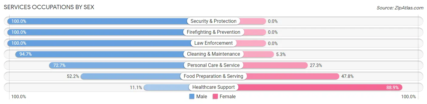 Services Occupations by Sex in Rawson