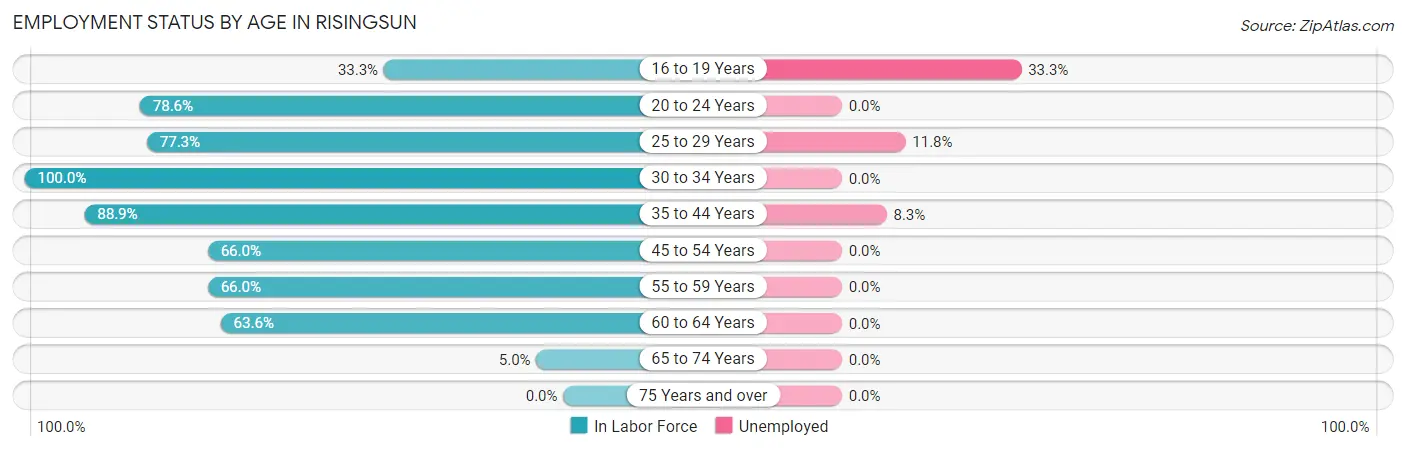 Employment Status by Age in Risingsun