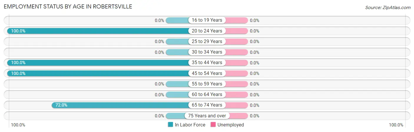 Employment Status by Age in Robertsville