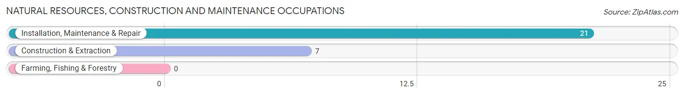 Natural Resources, Construction and Maintenance Occupations in Rocky Ridge