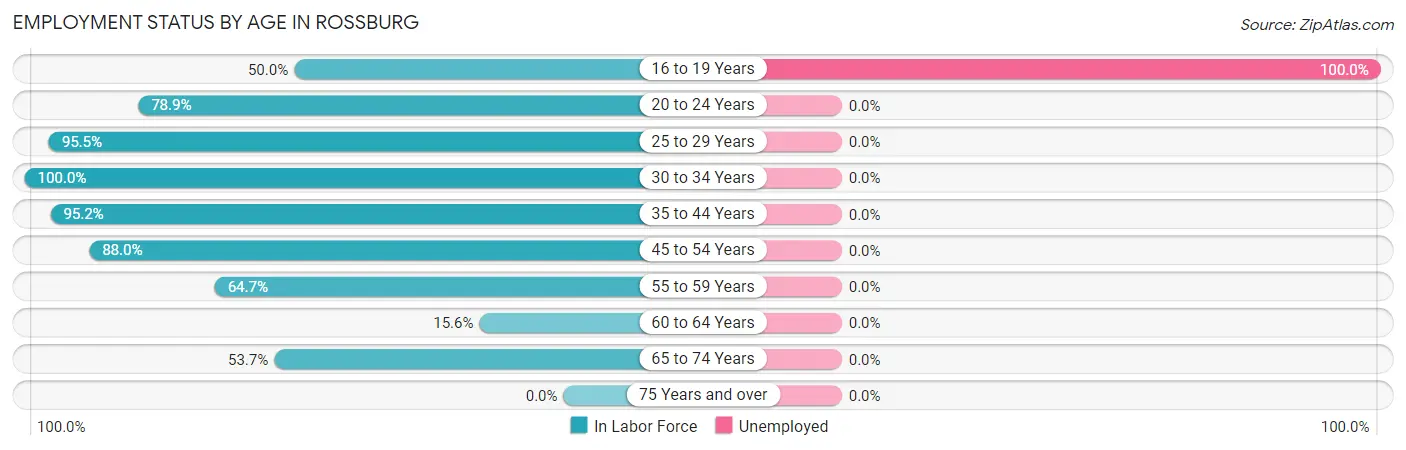 Employment Status by Age in Rossburg