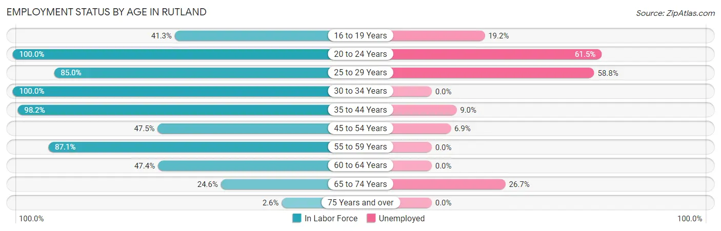 Employment Status by Age in Rutland