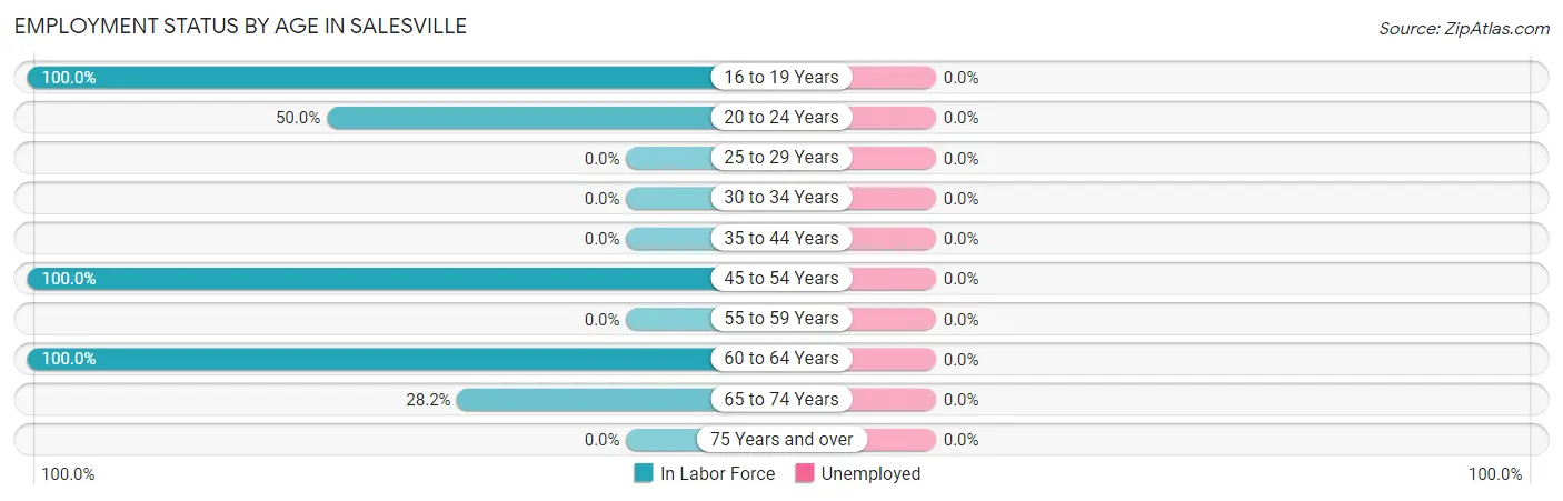 Employment Status by Age in Salesville