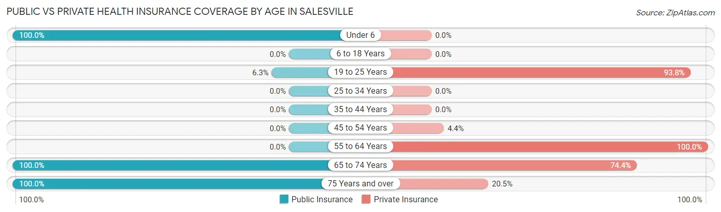 Public vs Private Health Insurance Coverage by Age in Salesville