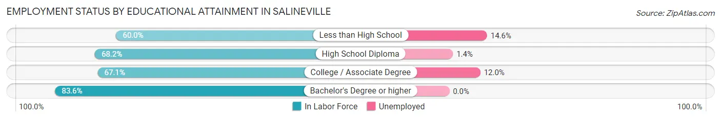 Employment Status by Educational Attainment in Salineville